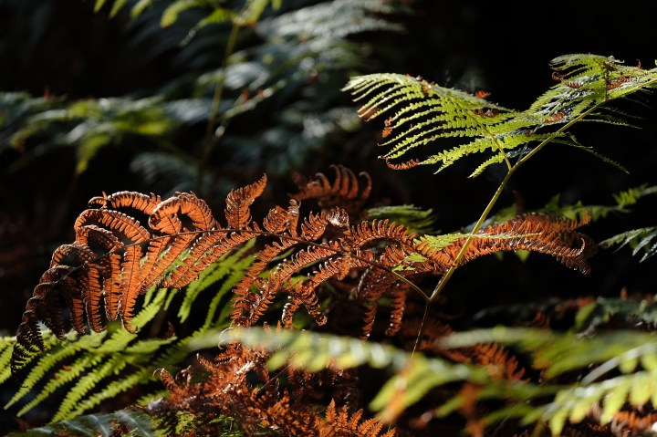 FA0B9CF2-8979-4E1F-969C-4B31E592E25A